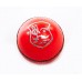 County Cricket Ball, Simply Cricket